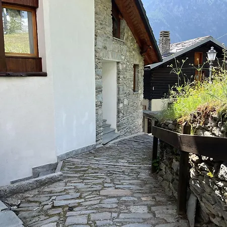 Dei Larici Valtournenche - Il Lupo Affitta *